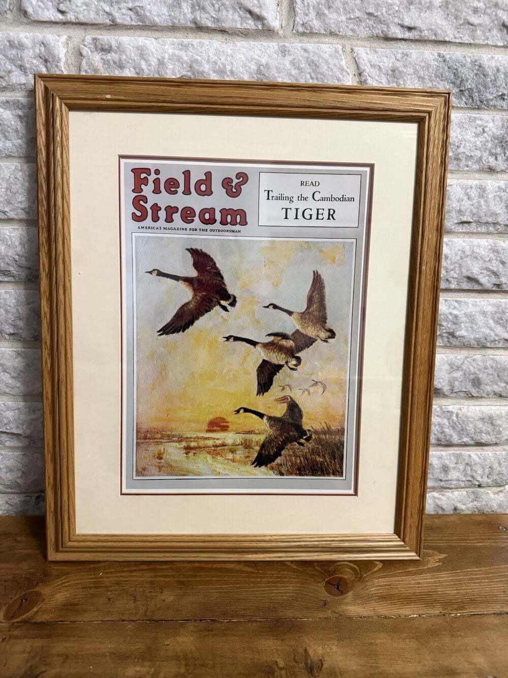 VTG Field & Stream magazine cover illustration of Canada geese in flight Rare